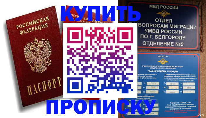 прописка иностранных граждан в Светогорске